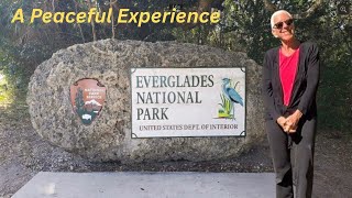 Everglades National Park: Amazing Wildlife | A Peaceful Day | A Lovely Day