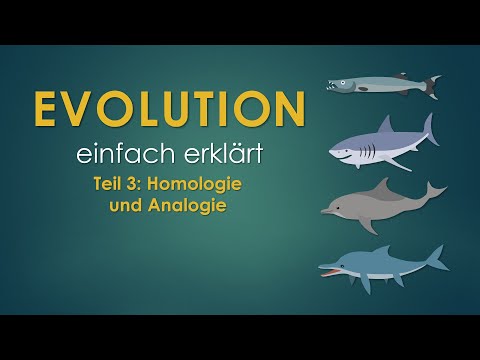 3. Homology and Analogy | Evolution Explained Simply