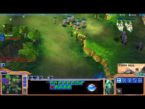 Starcraft 2: 2v2 Beating masters players