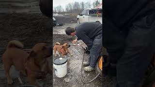 Instagram Is TiredoctorOfficial check it out    #tireguy #tiredoctor #tires #tirerepair #shorts