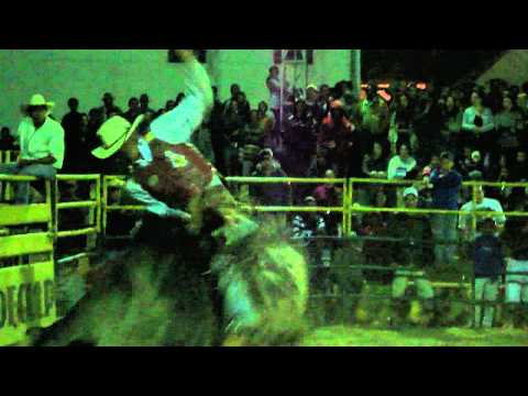 Bruno da Silva vs Pedra 90