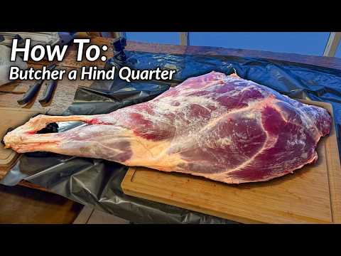 How To Butcher Elk Hind Quarter * EVERY CUT EXPLAINED *