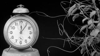 The Strangler / Percy&#39;s Dream (from Minute Bodies)