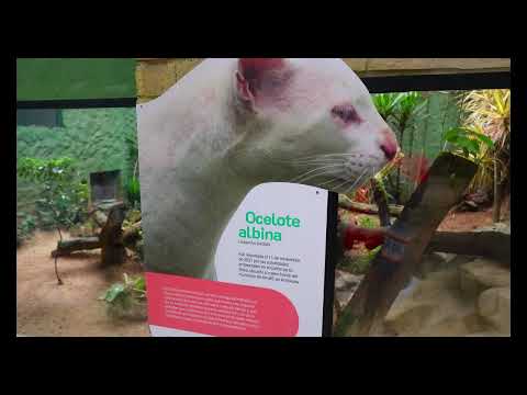 Medellin is Underrated