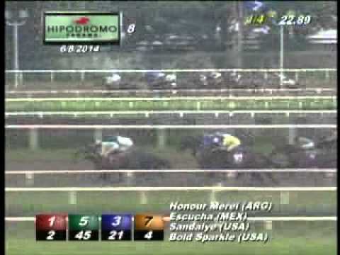 8VA CARRERA DOMINGO 8 DE JUNIO DE 2014