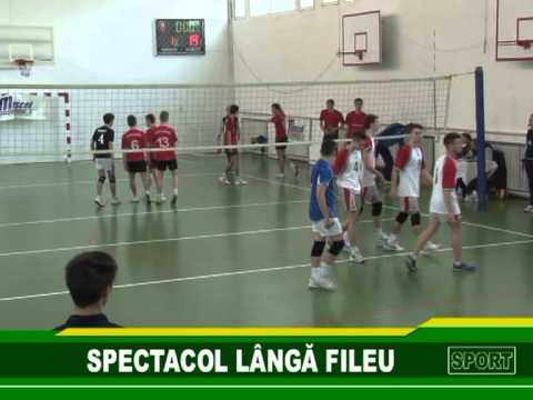 jurnal 15.03.2013 sp.1 volei - sorin matauanu - css buzau - css bacau 3-1