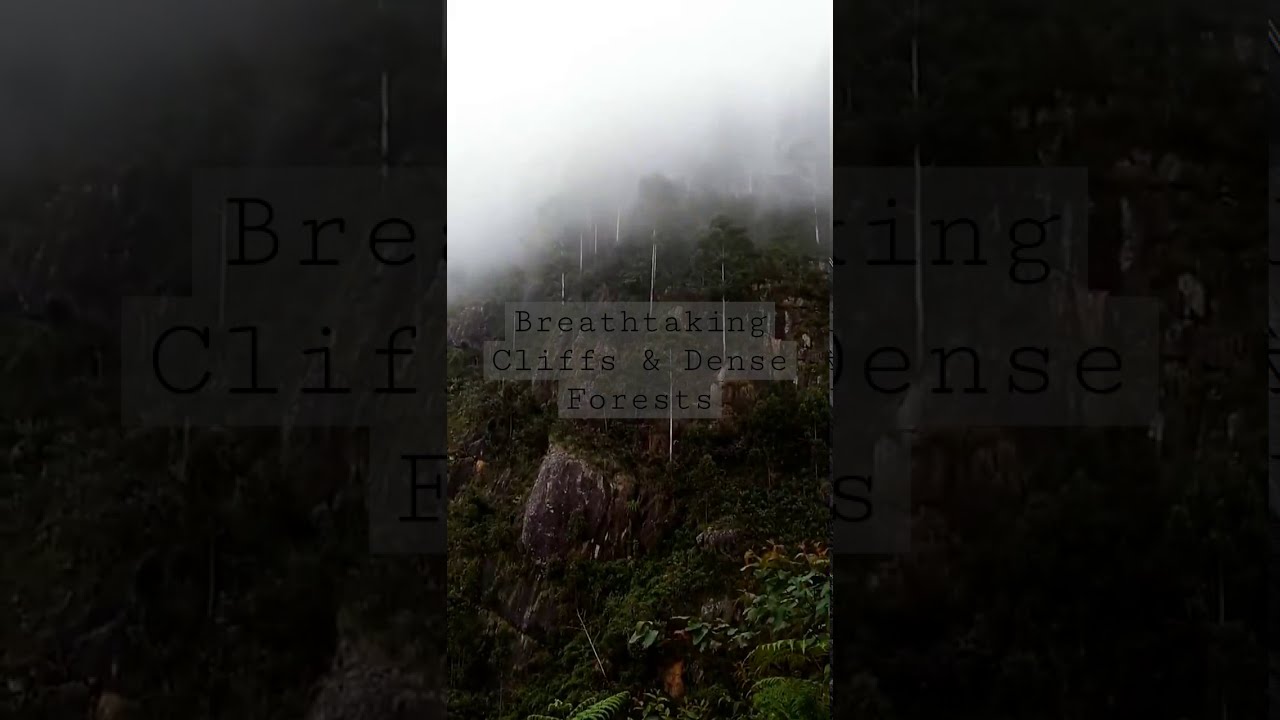 Vattakanal (near Kodaikanal) – Traveling in India #shorts