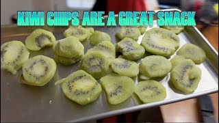 FREEZE DRYING FROZEN SLICED KIWI HARVEST RIGHT FREEZE DRYER