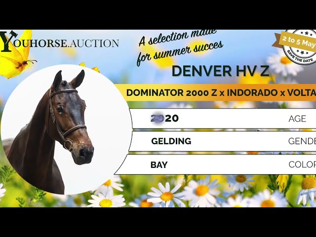 Denver showvideo outdoor