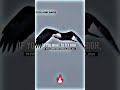 FLY HIGH WhatsApp Status Shorts Billionaire Attitude Its Latent Shot Quotes