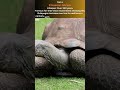 Top 10 Animals With The Longest Lifespan Shortvideo Top10 Animals Wildlife