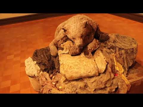 Visiting Gothenburg Konstmuseum and the Trollhattan Forngarden in sweden! - THE NOMAD FILMER.