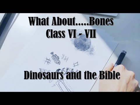 What About....... Bones - Dinosaurs | Class VI - VII | Reasons for Hope