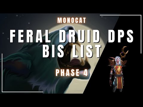 Feral Druid DPS Phase 4 BiS (Classic TBC)