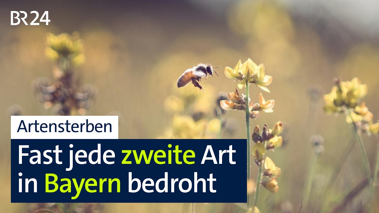 Umweltschutz: Weltnaturgipfel in Armenien | BR24