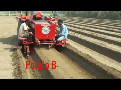 Potato Bed Planter With Fertilizer