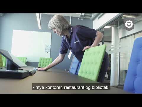 Jobben min - renholder