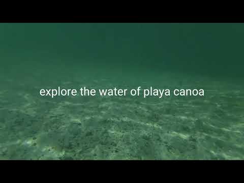 Explore playa canoa on the island of Curacao