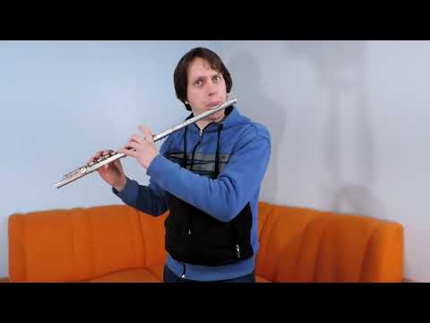 Flauta Transversal Yamaha Yfl 21S Japan