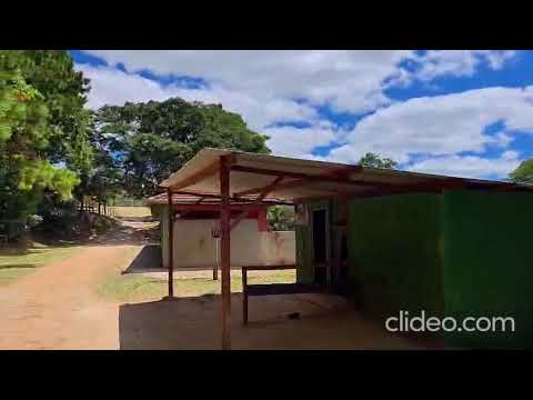 Haras de Alto Padrão em São Roque/SP - Fazenda Ibaté | Oportunidade para Resort e Investimento