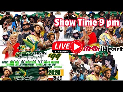 jamaica strong Benefit Concert at UBS Arena New York City