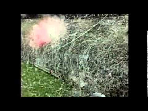 "LA MEJOR SALIDA DE UN CLUB PERUANO EN LA HISTORIA, ALIANZA LIMA" Barra: Comando SVR &bull; Club: Alianza Lima