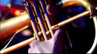 Kyteman's Sorry uitgevoerd door Ruud Breuls met Metropole Orkest [Live at Buma Harpen Gala 2010]