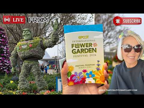 Live webcam of That Crazy Disney Lady