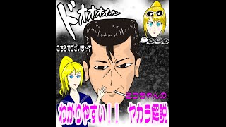 ミコちゃんの　【わかりやすい!!　ヤカラ解説】　～図解説明付き～