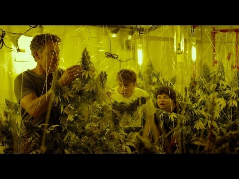 Trailer Cannabis Kid