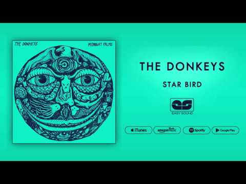 The Donkeys - Star Bird (Official Audio)