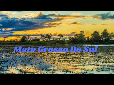 Incrível Vídeo De Mato Grosso Do Sul.