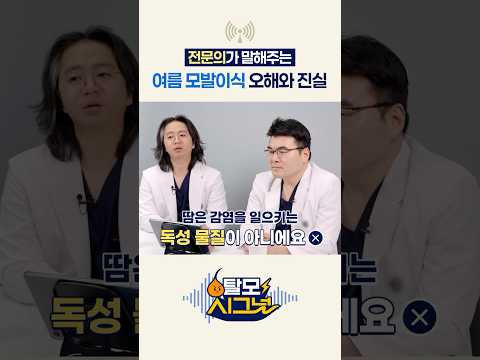 여름 모발이식 오해와 진실