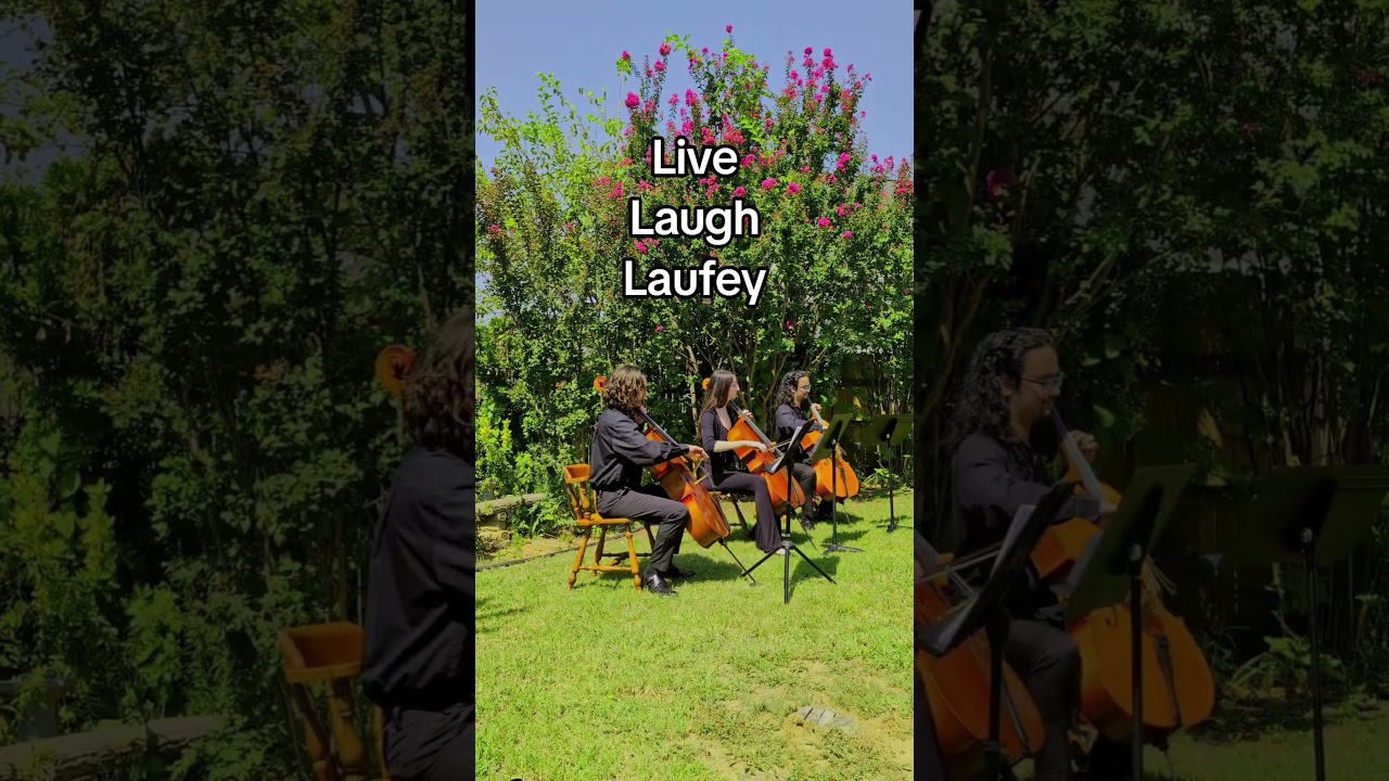 Promotional video thumbnail 1 for Trio Ponticello