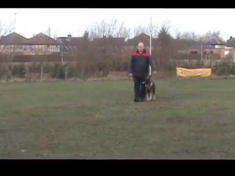 Geronimo von spektefeld bh