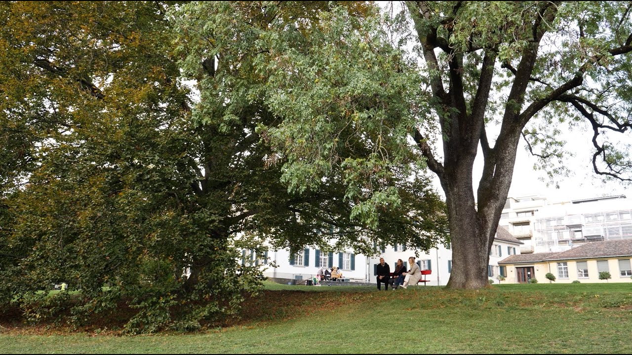 LEAD – Learning from the past