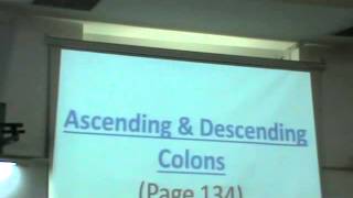 Dr Sherif Fahmy Da3m Abdomen 8 (Appendix & Colon)