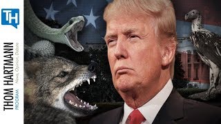 Why Donald Trump is actually Ultimate 'Globalist'