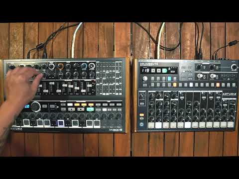 Squid 9 Cabin Fever: Day 3