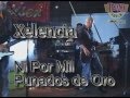 Xelencia  Ni Por Mil Punados de Oro
