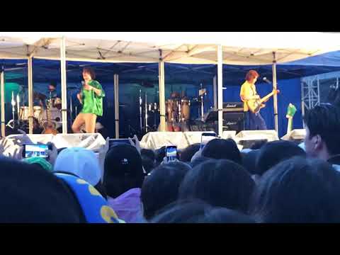 [직캠] [그린플러그드2019] 잔나비 - 알록달록