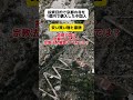 【は？】中国人が投資用に京都の寺を購入