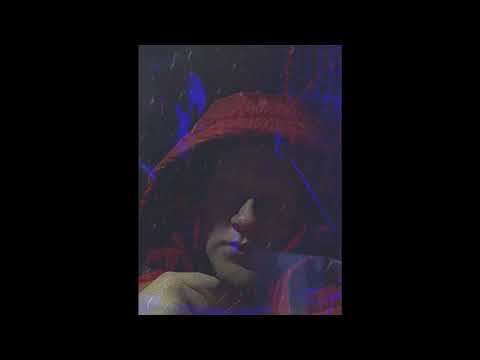 NOCNY BLASK - WILGOĆ