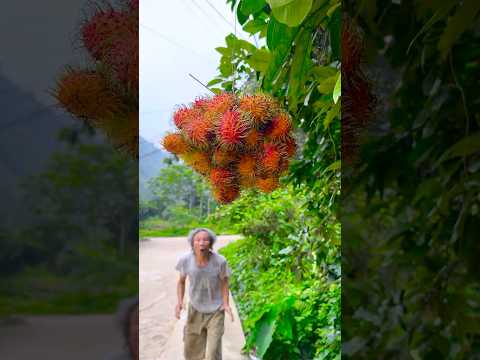 Survival skills: SIMPLE but VERY USEFUL with rambutan #shorts
