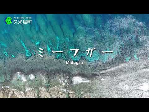 ミーフガー/Miifugaa