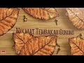 IKLAN TV 2022 ROKOK DJARUM COKELAT