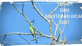 Download lagu kirik kirik gacor dan suara air 2021 mp3