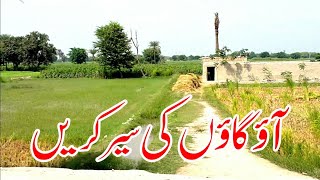 preview picture of video 'Tour of Punjab Village | Rural Life In Pakistan |Part 06'