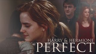 Perfect  Harry & Hermione