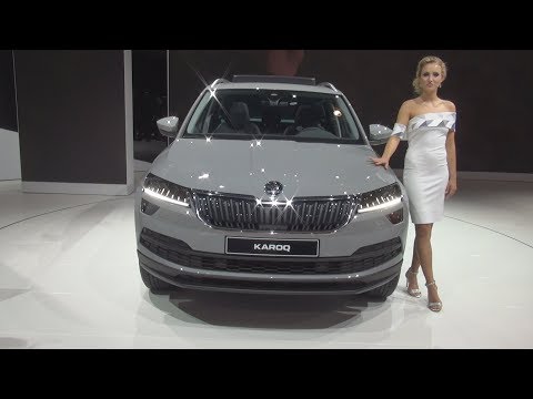 Škoda Karoq Style 2.0 TDI 110 kW DSG 4x4 (2018) Exterior and Interior